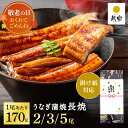 うなぎ 国産 鰻 ギフト プレゼント 鰻楽 うなぎ蒲焼 長焼 170g 選べる 2尾 3尾 5尾 丑の日 ウナギ 冷凍 鰻 うなぎ蒲焼 贈答用 内祝い お取り寄...