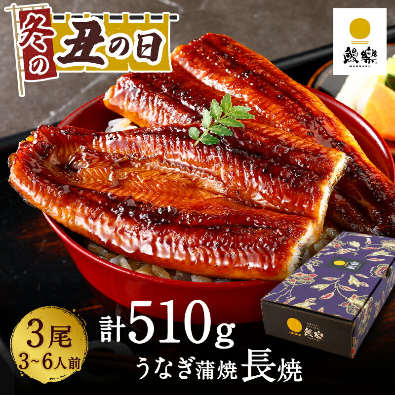 鰻楽 国産うなぎ蒲焼 長焼3尾（3〜6人前） うなぎ ギフト 蒲焼 ウナギ 内祝い 出産祝い 誕生日祝い お礼 お見舞い プレゼントのサムネイル