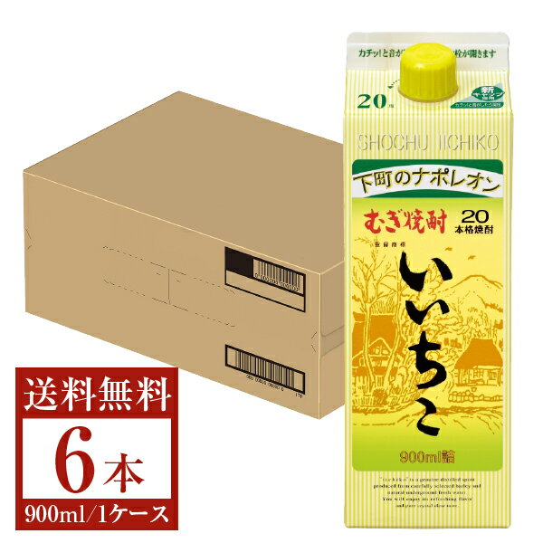 【送料無料】 三和酒類 むぎ焼酎 いいちこ 20度 紙パック 900ml 6本 1ケース 三和酒類いいちこ 麦焼酎 大分 包装不可 他商品と同梱不可 クール便不可