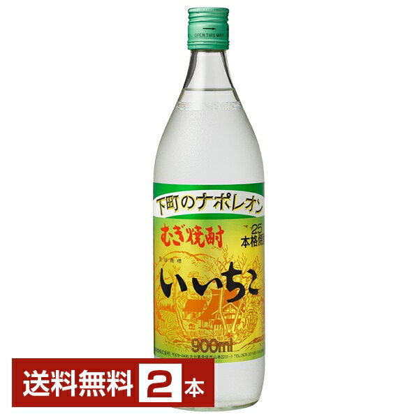 三和酒類 むぎ焼酎 いいちこ 25度 瓶 900ml 2本 三和酒類いいちこ 麦焼酎 大分 包装不可