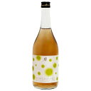 リキュール 岩手 南部美人 糖類無添加 梅酒 リキュール 9度 720ml
