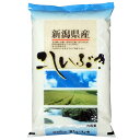 あす楽新米 越後の米 令和2年産 新潟県産 こしいぶき 白米10kgx1袋 玄米/無洗米加工/米粉加工/保存包装 選択可