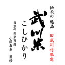 あす楽 【送料無料】新米 日本の名米100選 令和元年産武川米こしひかり 小澤義章 監修 白米10kgx1袋 玄米/無洗米加工/米粉加工/保存包装 選択可【あす楽対応_関東】【あす楽対応_近畿】【あす楽対応_甲信越】【あす楽対応_北陸】【あす楽対応_東海】