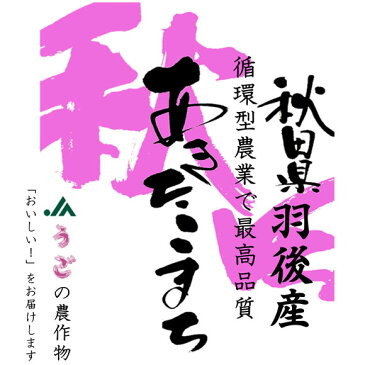 【循環型農業】「特A」受賞 令和元年産 秋田県羽後産あきたこまち JAうご 白米5kgx1袋 玄米/無洗米加工/米粉加工/保存包装 選択可