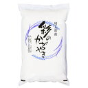 令和2年産 埼玉県産 彩のかがやき 白米5kgx1袋 玄米/無洗米加工/米粉加工/保存包装 選択可