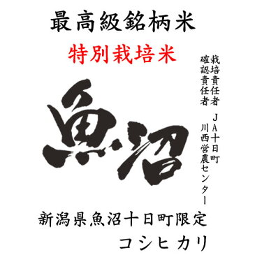 【20kg単位送料無料】特別栽培米 JA十日町 29年産新潟県十日町魚沼産コシヒカリ 白米10kgx1袋 無洗米加工/米粉加工/保存包装 選択可