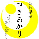 【予約販売】北陸の新品種　令和元年産新潟県産つきあかり 白米10kgx1袋 玄米/無洗米加工/米粉加工/保存包装 選択可