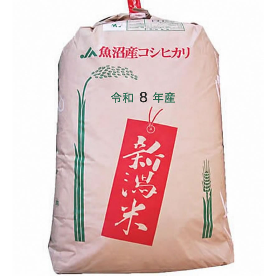 【予約販売】【まとめ買い】【精米料無料】新米 令和8年産 新潟県魚沼産コシヒカリ...
