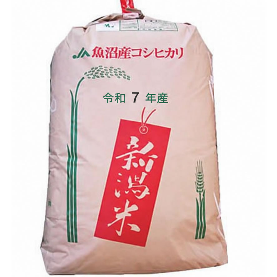 【事業所配送（個人宅不可）】【精米料無料】【お買得】令和7年産 新潟県魚沼産コ...