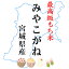 【送料無料】新米 最高級もち米 30年産宮城県産みやこがねもち 白米10kg