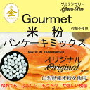 【事業所配送(個人宅不可)】グルテンフリー 米粉 パンケーキミックス(山梨県産米使用) 20kg (10kgx2)