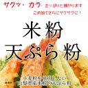 【まとめ買い】グルテンフリー 米粉 天ぷら粉 (山梨県米使用) 20kg (10kgx2)