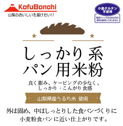 しっかり系 パン用米粉 （山梨県産米使用） 2kgx5袋 外は固め、中はしっとりした食パンづくりに