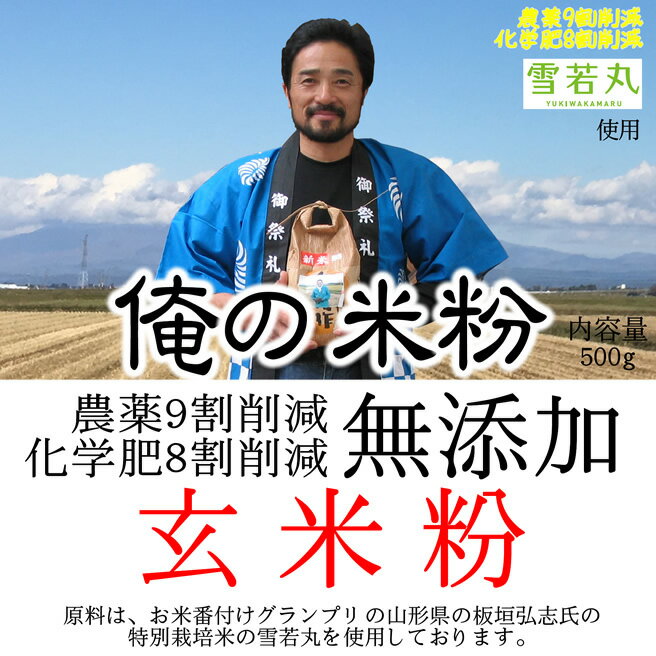 俺の米粉 （農薬9割化学肥8割減 雪若丸） 無添加 玄米粉 500gのサムネイル