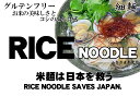 グルテンフリー Rice Noodle 米麺は日本を救う セット ※お米めん10食/グルテンフリーつゆ500mlx2本/グルテンフリーあごだし1袋（8gx8入）