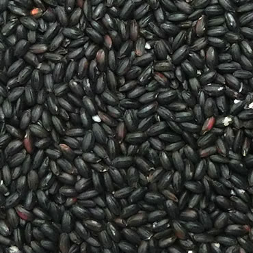 古代米 黒米の米粉 10kg（山梨県産朝紫）長期保存包装 2