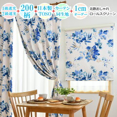 https://thumbnail.image.rakuten.co.jp/@0_mall/manten-curtain/cabinet/imgrc0084280531.jpg