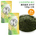 鹿児島茶 「みやび」 2本セット 100g×2 かごしま茶 新茶 お茶 緑茶 日本茶 茶葉 鹿児島茶 japantea 本格 おいしい 手軽 おうちカフェ お祝い お返し ギフト お歳暮 来客 法事 敬老の日 長寿祝い 引っ越し祝い メール便送料無料 ※ ティーバッグ ではありません。