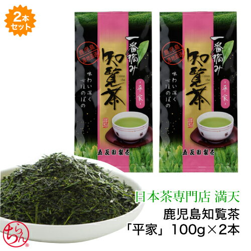 鹿児島茶 知覧茶 「平家」 2本セット 100g×2 かごしま茶 知覧茶 新茶 お茶 緑茶 日本茶 茶葉 chiran ギフト 本格 おいしい 手軽 おうちカフ...