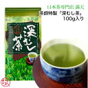 茶師特製 【深むし茶】 100g 入り 茶葉 日本茶 ギフト お歳暮 お試し かごしま茶 鹿児島茶 鹿児島県産 新茶 特製 まろやか 甘み 簡単 手軽 美味しい おすすめ 人気 健康 癒し 安い ※ ティーパック ではありません。