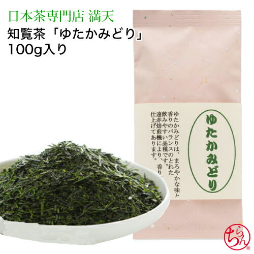 お茶 緑茶 茶葉 日本茶 知覧茶 ゆたかみどり 100g 品種茶 鹿児島茶 かごしま茶 ちらん茶 新茶 2021年度産 japantea chiran おいしい おすすめ おうちカフェ 手軽 遠赤焙煎 贈り物 ギフト プレゼント お祝い お返し 来客 法事 敬老の日 長寿祝い