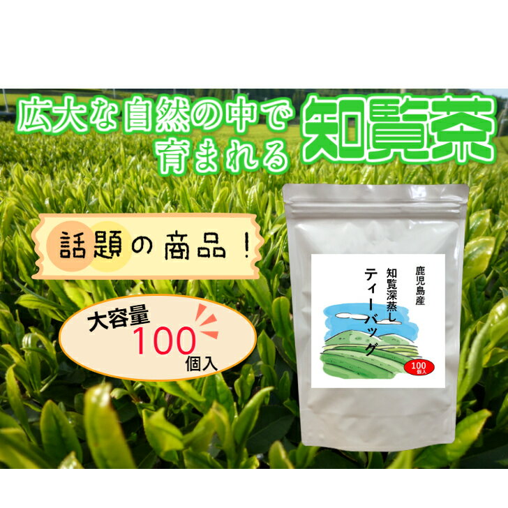 緑茶 ティーバッグ お茶 日本茶 知覧茶 ちら...の紹介画像2