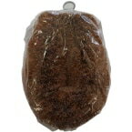 パーム束子(亀の子型たわし) 中 1個 業務用