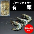【冷凍】有頭ブラックタイガー 35尾 1.3KG (/えび) 業務用