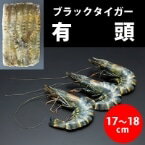 【冷凍】有頭ブラックタイガー 40尾 1.3KG (/えび) 業務用