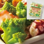 【冷凍】そのまま使える ロマネスコ 500G (ニチレイフーズ/農産加工品【冷凍】/葉菜類) 業務用