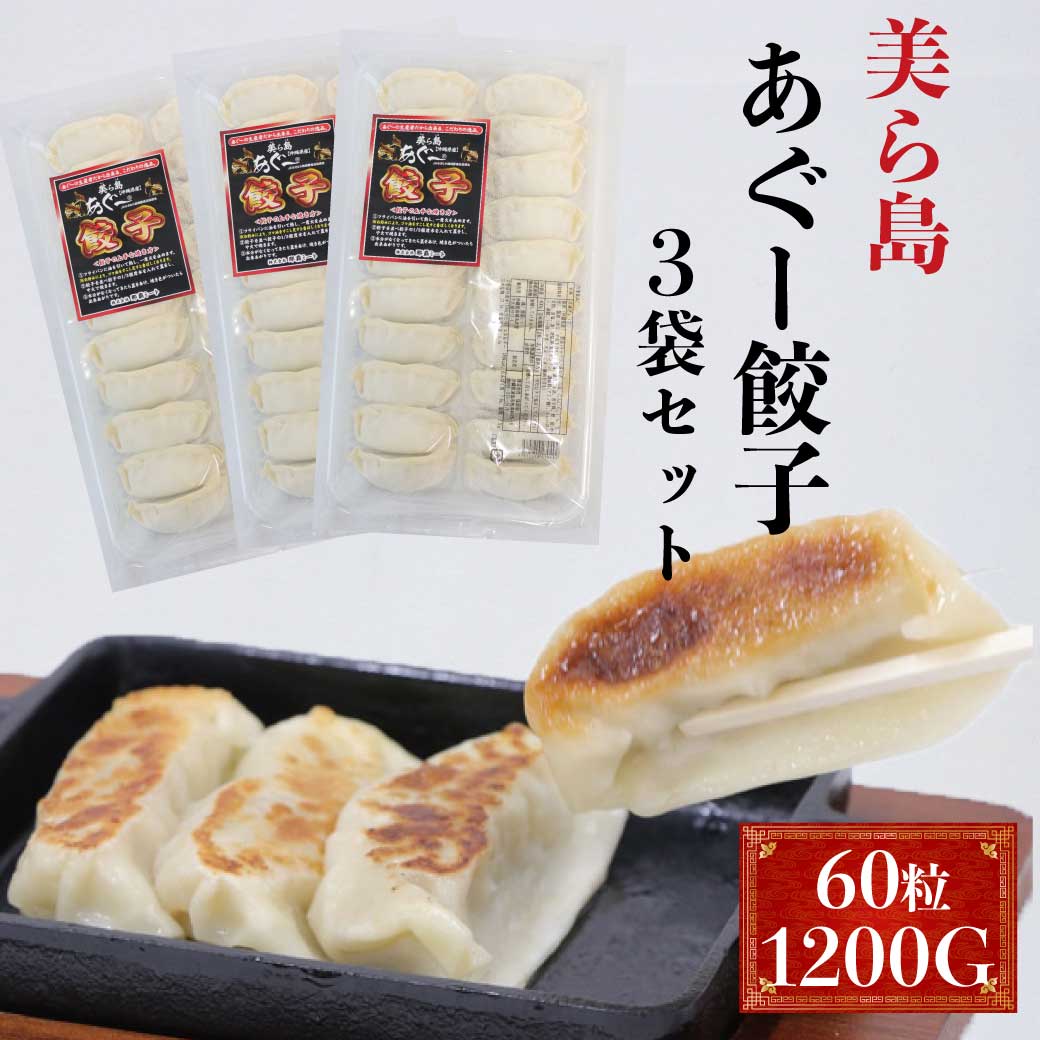 【冷凍】沖縄美ら島あぐー餃子 60個 お買い得3つセット (アグー豚/アグー餃子)