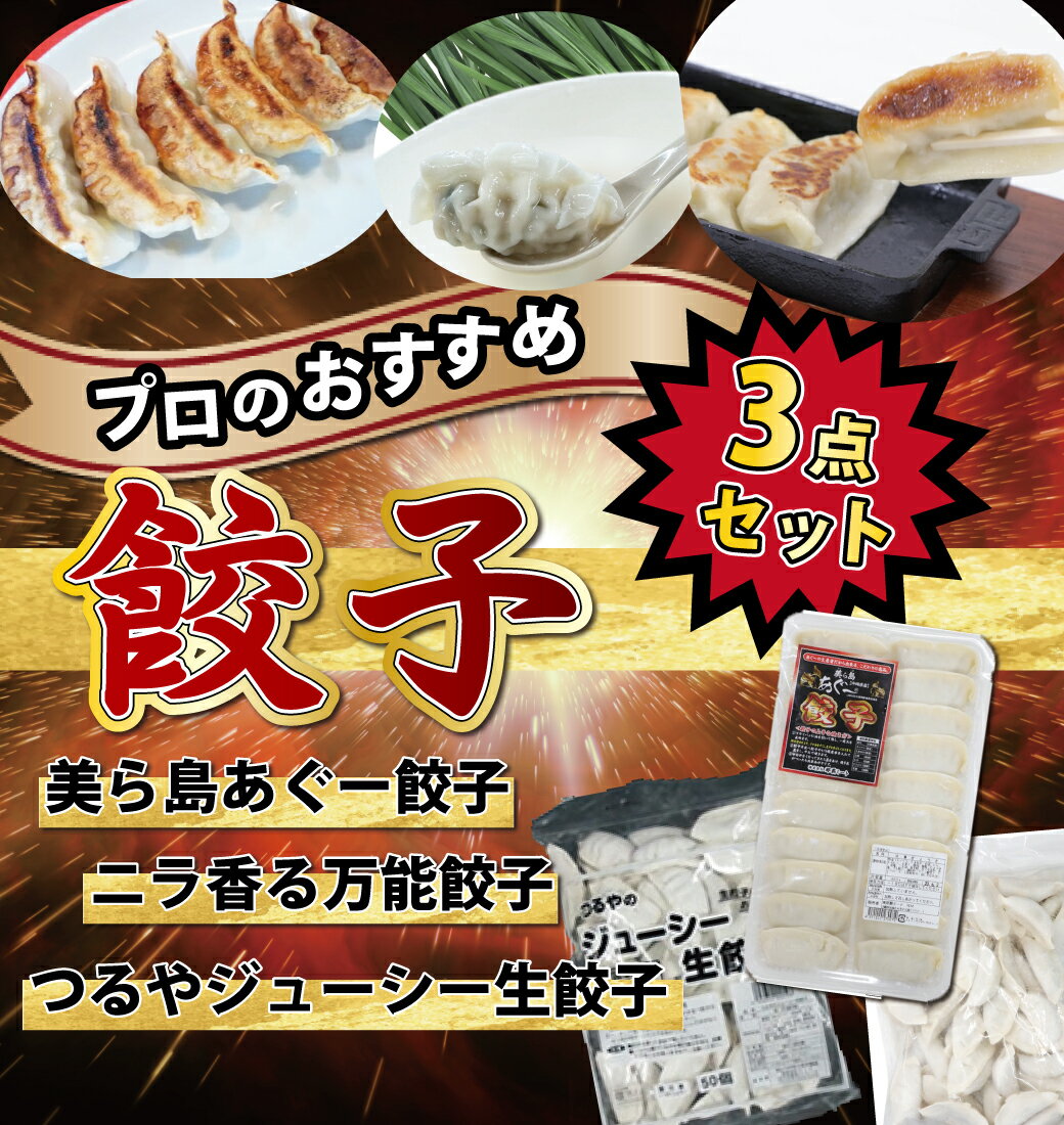 【冷凍】プロがすすめる餃子3点セット <お買い得価格> 美ら島あぐー餃子 ニラ香る万能餃子 つるやジューシー生餃子