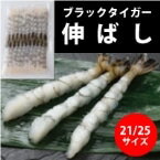 【冷凍】尾付き伸ばしえび(BT)21/25 (極洋/えび) 業務用