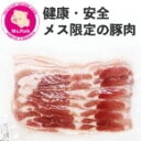 【冷凍】メキシコ産 M’Sポークバラスライス 500G (グルメん栗清/豚肉/豚スライス) 業務用