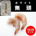 【冷凍】無頭エビ ホワイト 16/20 1.8KG (/えび) 業務用
