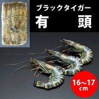 【冷凍】有頭ブラックタイガー 45尾 1.3KG (/えび) 業務用