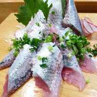 【冷凍】三陸南部沖産刺身イワシフィーレ 500G (かね善/魚/切り身)