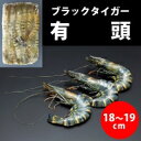 【冷凍】有頭ブラックタイガー 35尾 1.3KG (/えび)