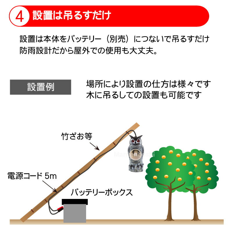 人気 21 クーポン利用で最大2 000円off 送料無料 天敵ニラミ トリサッタ オオタカ仕様 Ttn T4 タイガー 鳥追い 鳥よけ 被害 カラス 撃退 グッズ 音 声 鳥害 対策 防鳥 被害 スズメ 限定 鷹 人気 21 クーポン利用で最大2 000円off 送料無料 天敵ニラミ トリサッタ オオタカ仕様 Ttn T4 タイガー 鳥追い 鳥よけ 被害 カラス 撃退 グッズ 音 声 鳥害 対策 防鳥 被害 スズメ 限定 鷹
