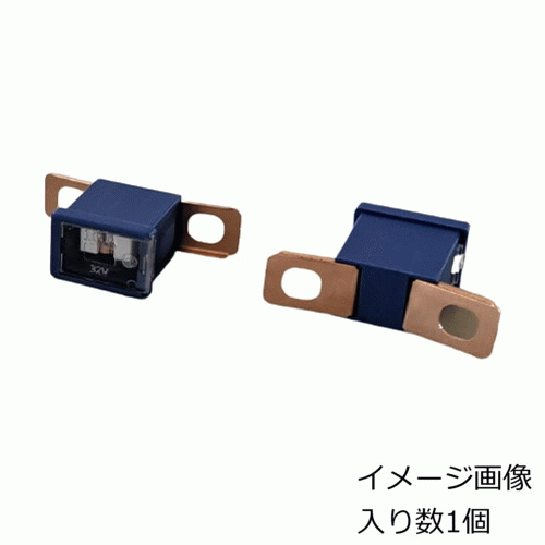 楽天まんてん屋太平洋精工・スローブローヒューズ・CTタイプ・SBF-CT_100A/3303ブルー100AMP