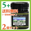 【2個セット】ハニーバレーUMFアクティブマヌカハニー5+