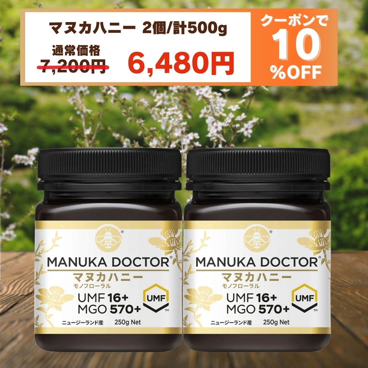 ManukaDoctorޥ̥ɥΥեޥ̥ϥˡumf16ޥ̥ϥˡɤ´˥꡼ǹ⥰졼ɤMGO