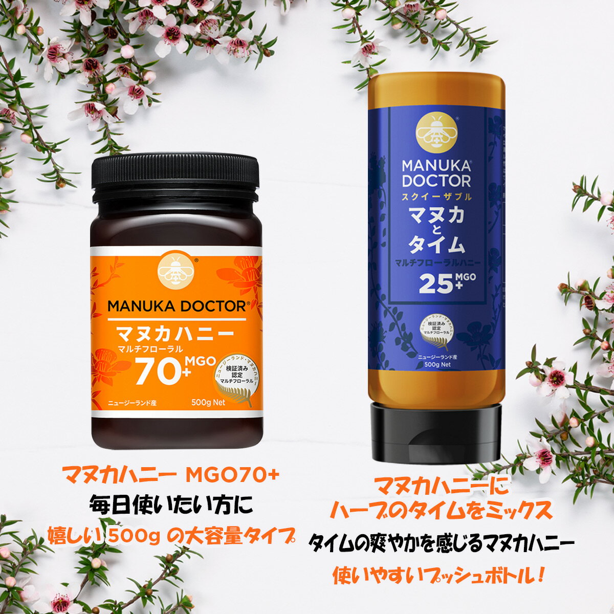 創健社　生チョコレートペースト　160g【冷蔵】