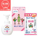 【ラッピング無料】【引越し 退職お礼 引っ越し 挨拶 ギフト 粗品 品物 日用品 消耗品 ライオン LION キレイキレイ 殺菌 消毒 風邪予防 ウイルス対策 ...