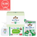 【ラッピング無料】【引越し 退職お礼 引っ越し 挨拶 ギフト 粗品 品物 日用品 消耗品 ライオン LION キレイキレイ 殺菌 消毒 風邪予防 ウイルス対策 ...