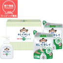 【ラッピング無料】【引越し 退職お礼 引っ越し 挨拶 ギフト 粗品 品物 日用品 消耗品 ライオン LION キレイキレイ 殺菌 消毒 風邪予防 ウイルス対策 ...