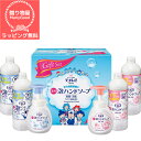 【ラッピング無料】【引越し 退職お礼 引っ越し 挨拶 ギフト 粗品 品物 日用品 消耗品 花王 ビオレU 泡ハンドソープ ギフト 殺菌 消毒 風邪予防 ウイルス対策 除菌 ノンアルコール】