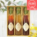 (送料無料)【ラッピング】 ドレッシング 詰め合わせ セット内祝 内祝い お返し 結婚 出産 香典 快気 結婚内祝い 出産内祝い 香典返し 志 法要 出産祝い 初節句 帰省暮 歳暮 お歳暮
