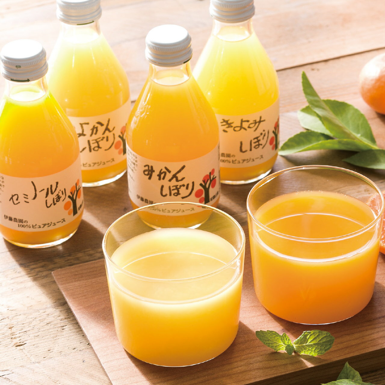 デリツィア・ドゥエミッラ　　ジャイアントグリーンオリーブ　種あり　690g　6個セット　35