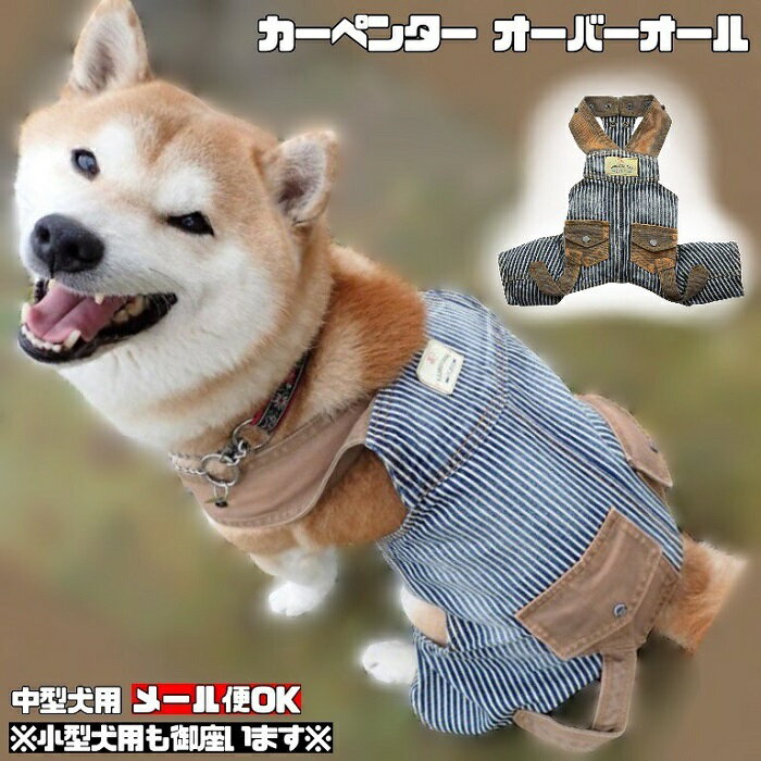 ݥ  淿     ѡ ˤλ  İ ڥ󥿡 С ҥå꡼ ¤ ...